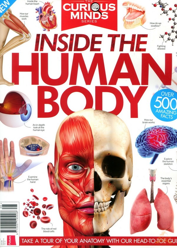 HOW IT WORKS INSIDE THE HUMAN BODY英国